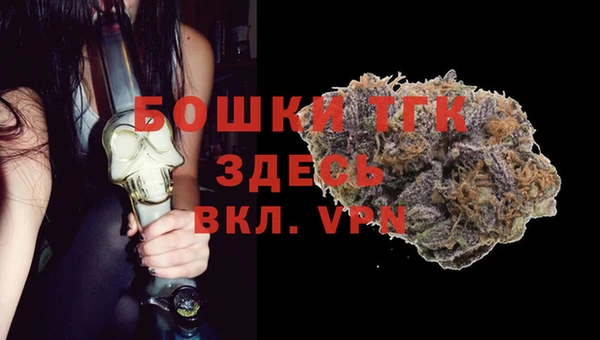 хмурый Верхний Тагил