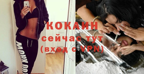 мяу мяу кристалл Бородино