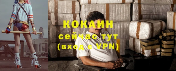 молекула духа Бронницы