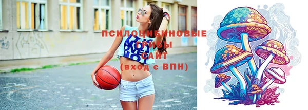 дурь Верея