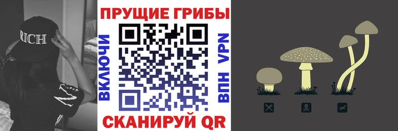 Галлюциногенные грибы MAGIC MUSHROOMS  хочу   Вятские Поляны 