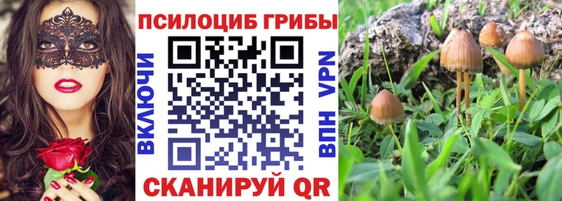 Псилоцибиновые грибы мухоморы Вятские Поляны